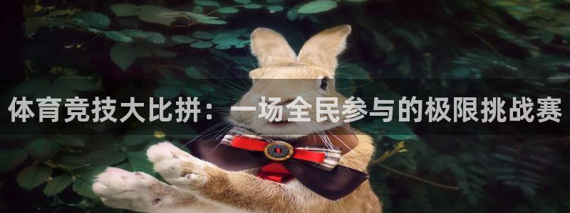 必一运动bsport体育：体育竞技大比拼：一场全民参与的极限挑战赛