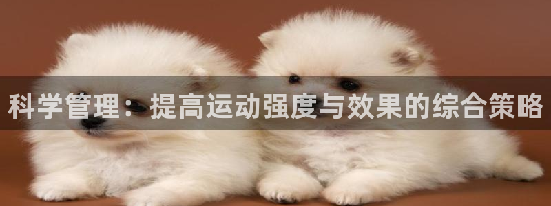 必一运动：科学管理：提高运动强度与效果的综合策略