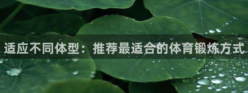 bsport必一运动：适应不同体型：推荐最适合的体育锻炼方式