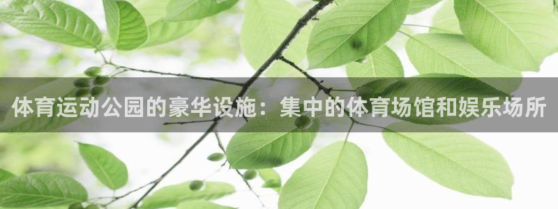 bsports必一运动：体育运动公园的豪华设施：集中的体育场馆和娱乐场所