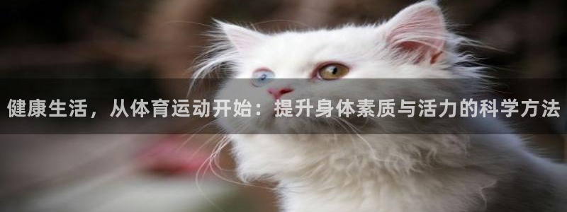 必一运动bsport体育：健康生活，从体育运动开始：提升身体素质与活力的科学方法