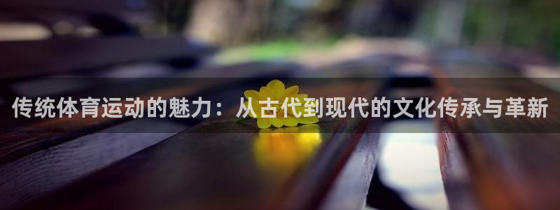 bsports官网 必一运动：传统体育运动的魅力：从古代到现代的文化传承与革新
