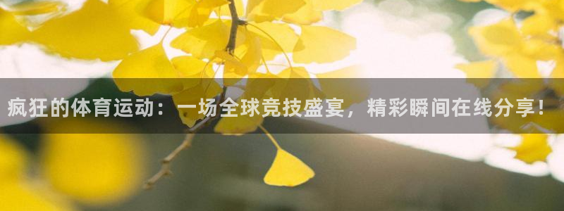 必一运动：疯狂的体育运动：一场全球竞技盛宴，精彩瞬间在线分享！