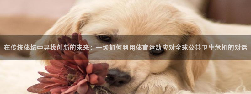 必一运动bsport体育
