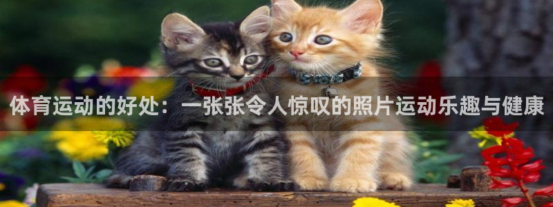 bsports官网 必一运动