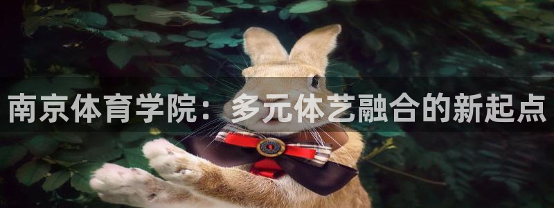 必一运动体育官网入口：南京体育学院：多元体艺融合的新起点